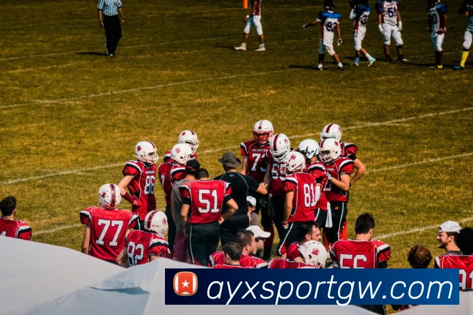 爱游戏体育APP 高清赛事图